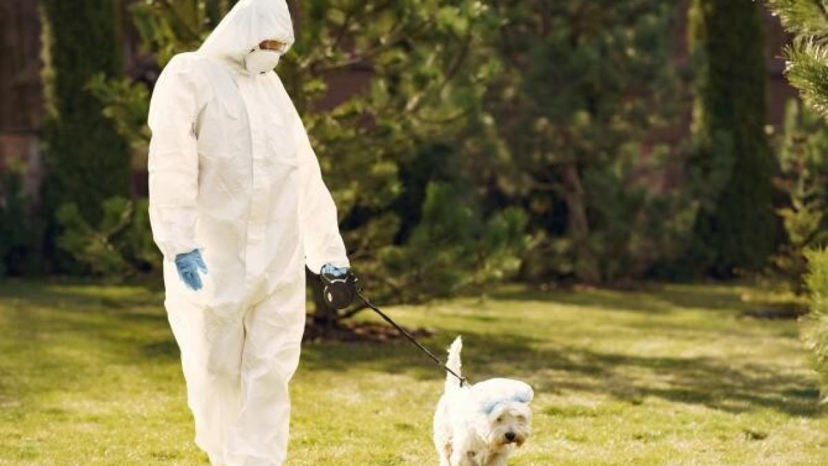 combinezon-studenti-alexandru-rafila_19895000