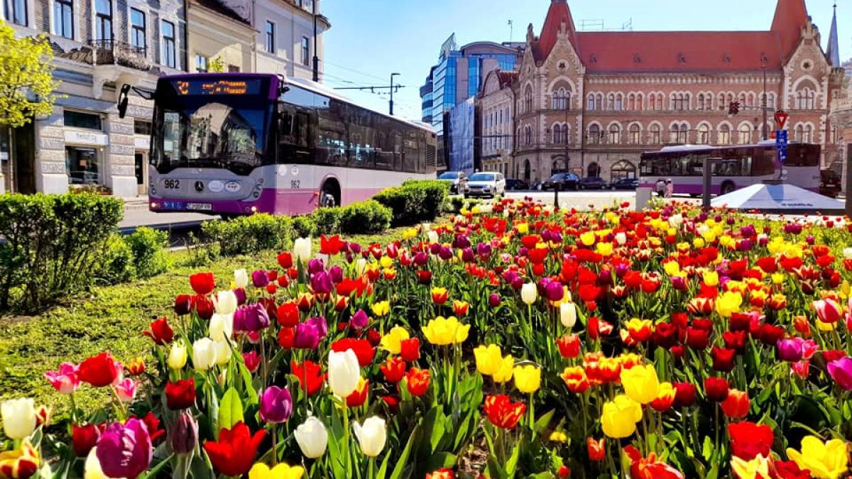 autobuzele-scolare-revin-pe-traseu-la-cluj-napoca_38770600