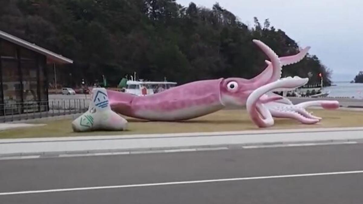 banii-pentru-covid19-cheltuiti-pe-un-calmar-roz_16723000