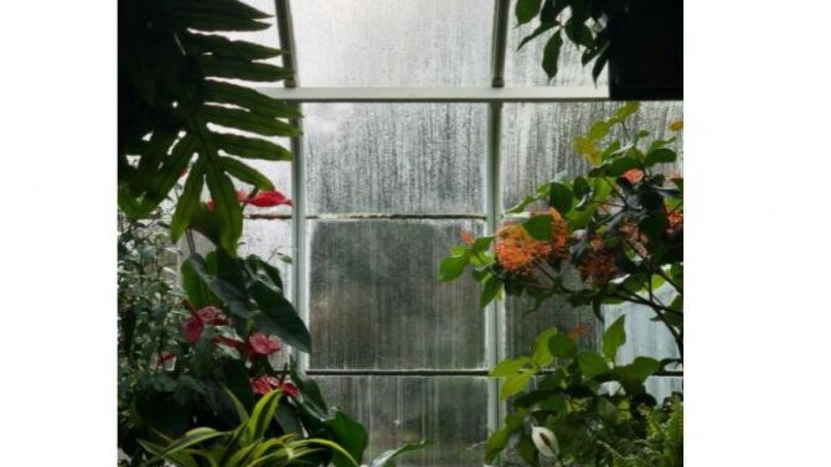 anm_vreme_ploi_foto_pexels_43258200