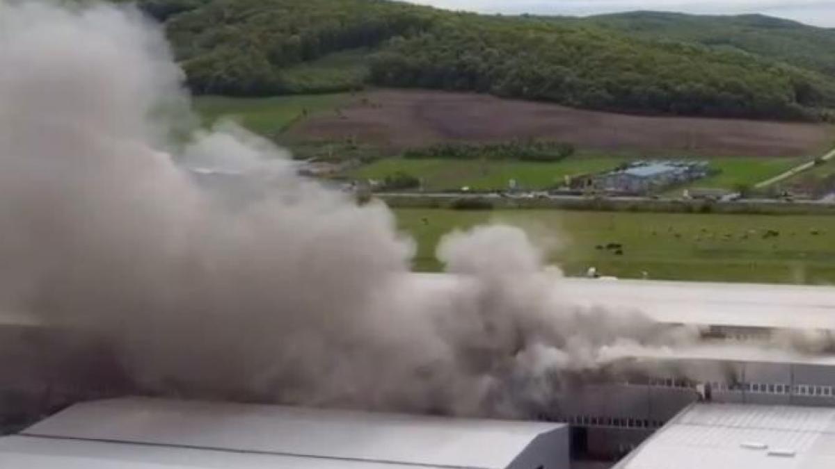 arde-fabrica-de-haprc-ccprc-82rtie-din-dej---ultimele-informatprc-ccprc-a6ii--imagini-de-la-fatprc-ccprc-a6a-locului_81847700