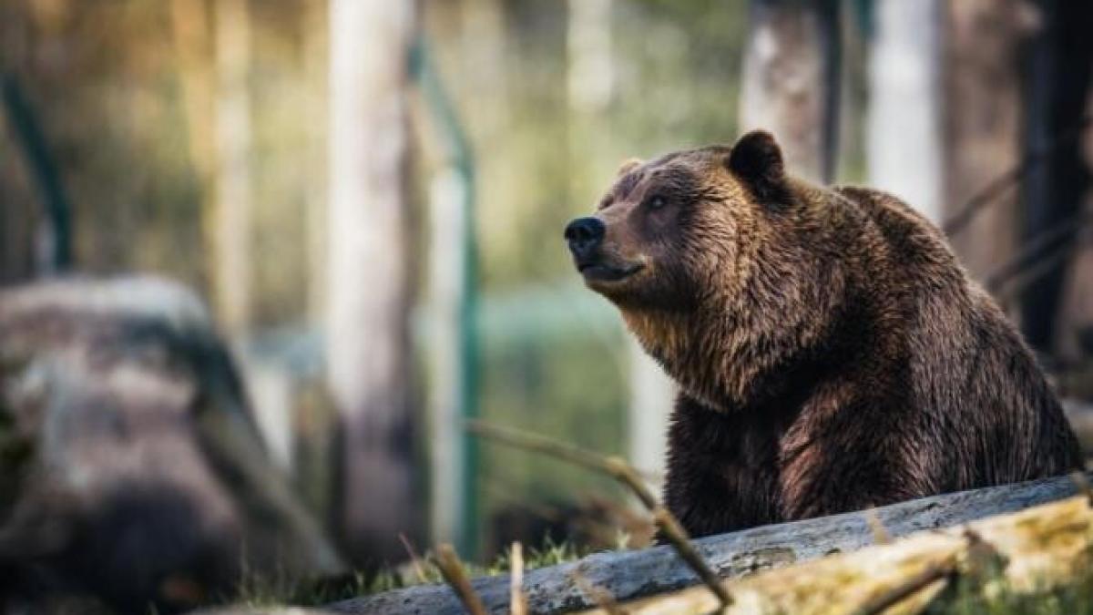 urs_foto_pexels_77865900