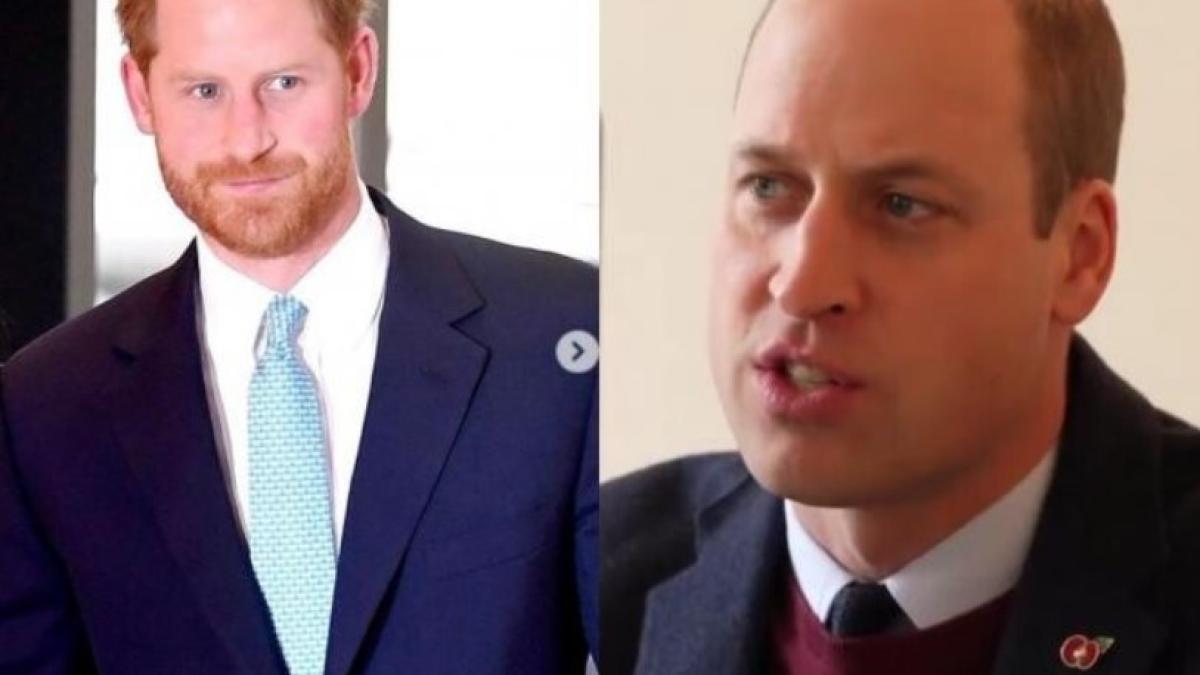 william-si-harry--declaratii-diferite-despre-printesa-diana--lucrul-neasteptat-invatat-de-la-lady-di--nici-nu-indrazneam_09117800