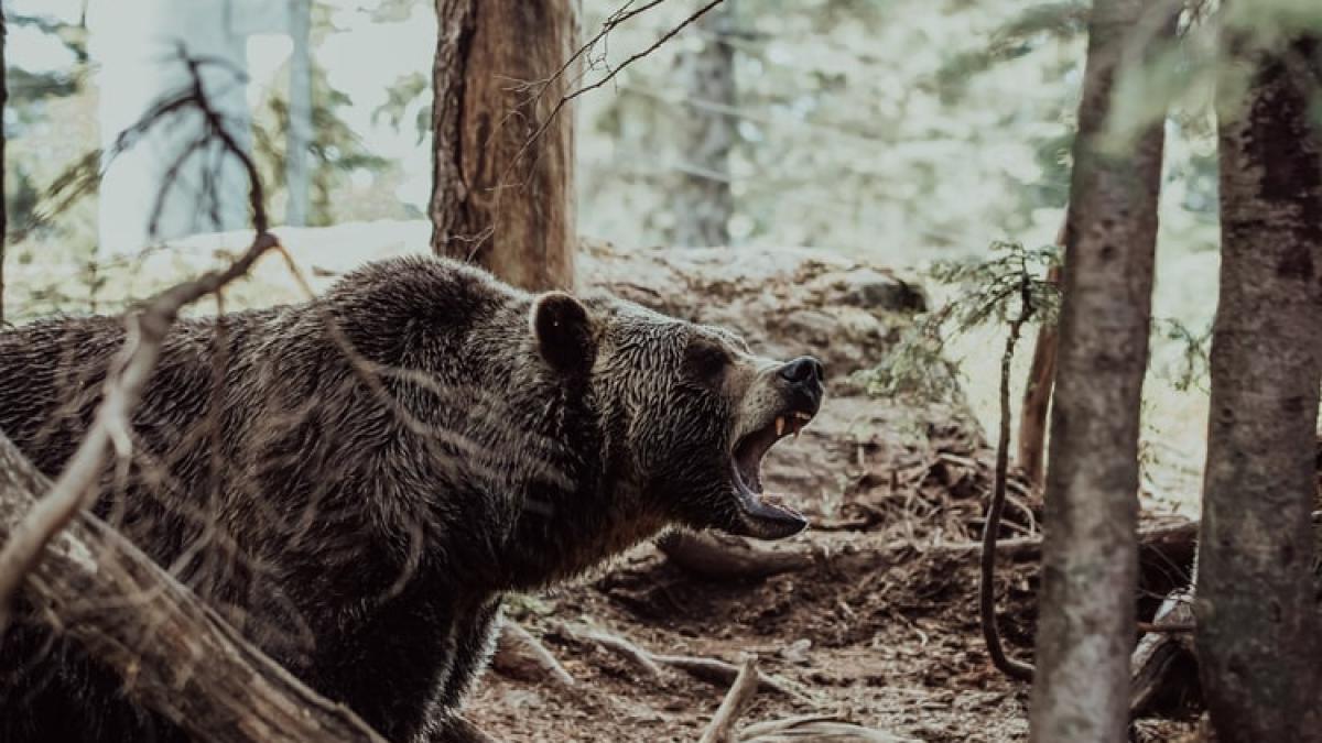 prinz-emanuel-von-und-zu-liechtenstein-neaga-ca-l-a-omorat-pe-arthur_07580800