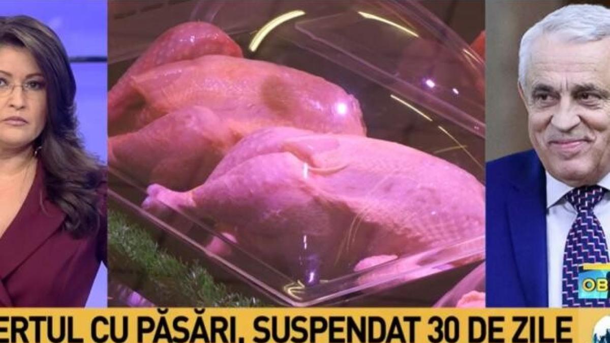 petre_daea_pasari_36869000