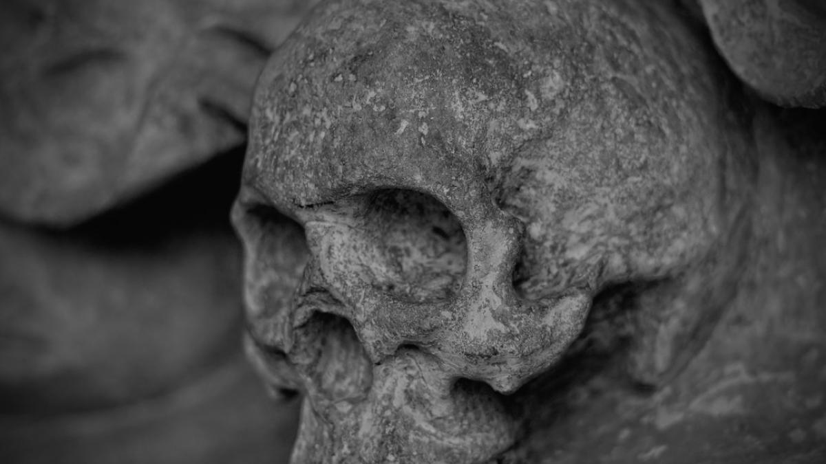 arheologie_craniu_ilustrativ_pixabay_91993300