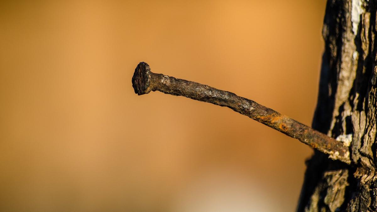 de-ce-sa-bati-cuie-ruginite-in-pomii-fructiferi--ajuta-mai-mult-decat-ai-fi-crezut_06897000