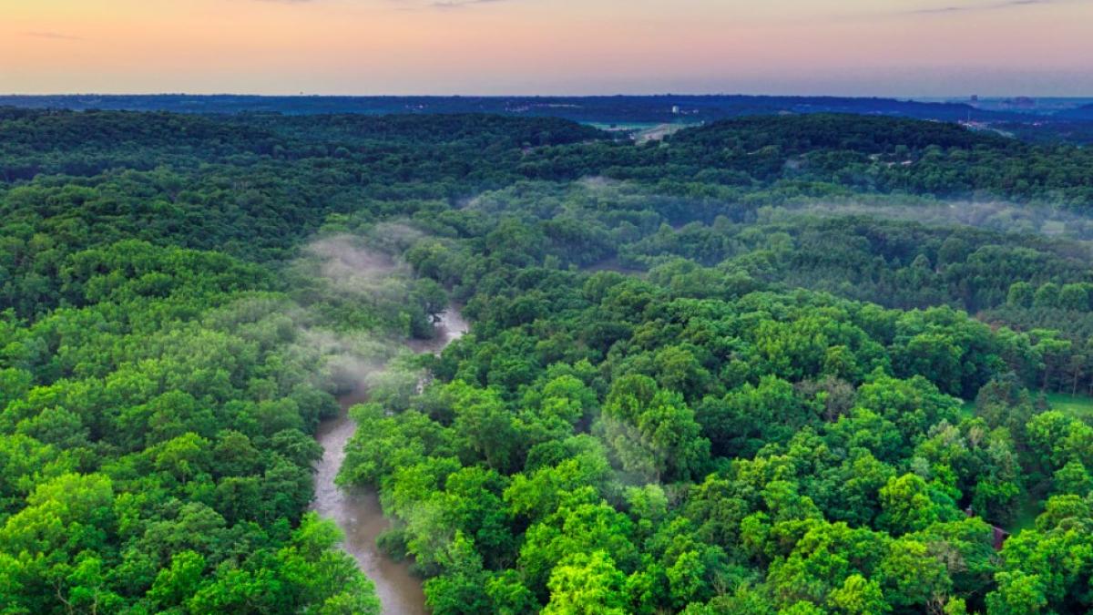 minerit_ilegal_brazilia_international_90157500