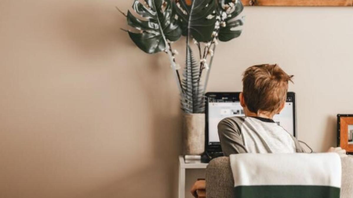 scoli_pandemie_sorin_cimpeanu_foto_pexels_95357000