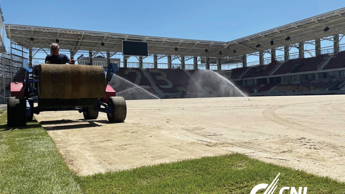 gazon-rapid_02872100