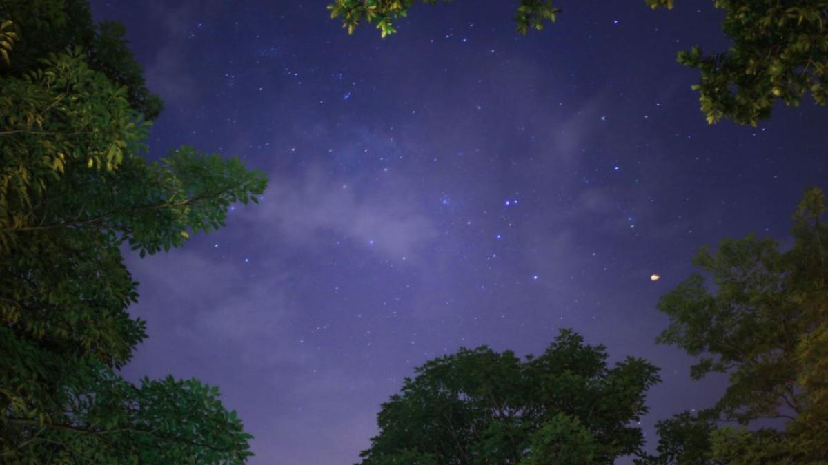 astrologie_astrograma_cer_foto_pexels_87128500