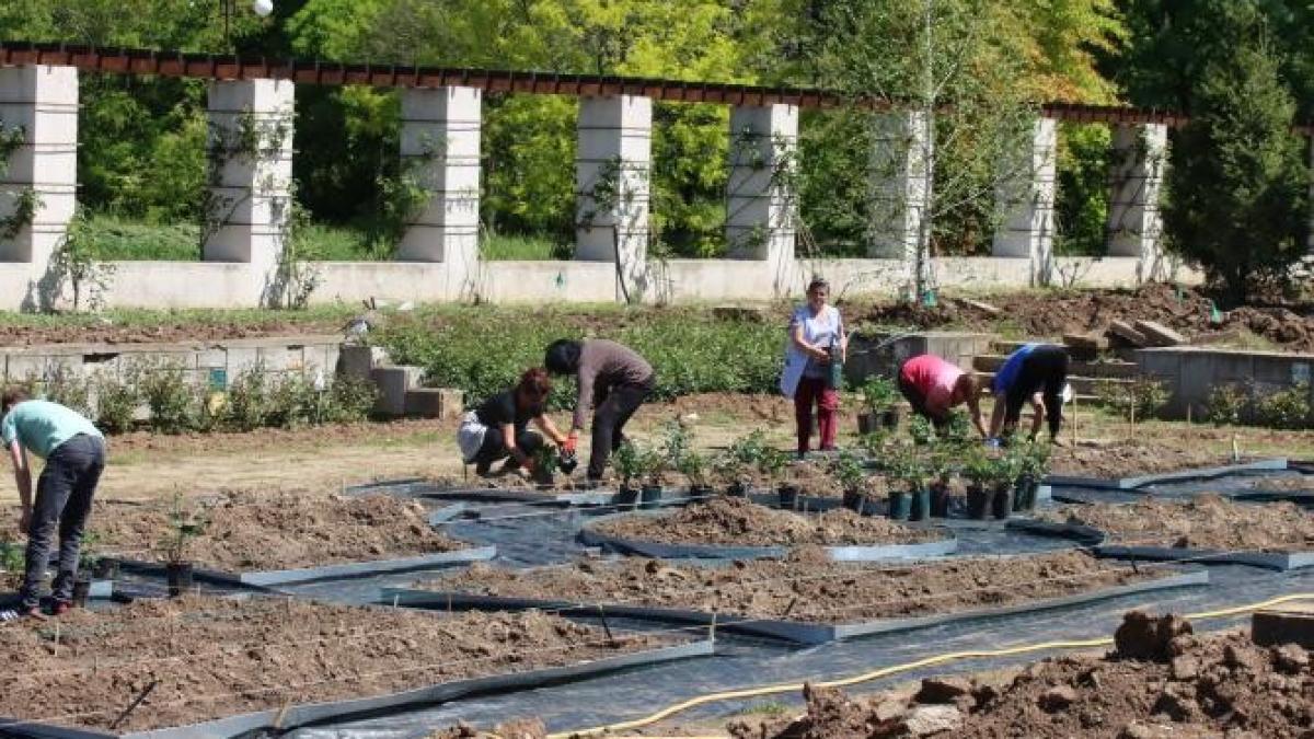 zilele-horticulturii_67086600