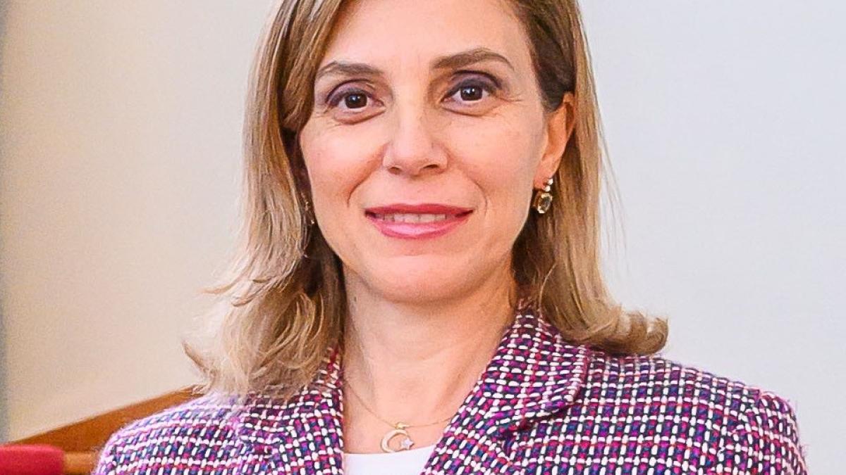 ambasador_romania_turcia_cooperare_89909200