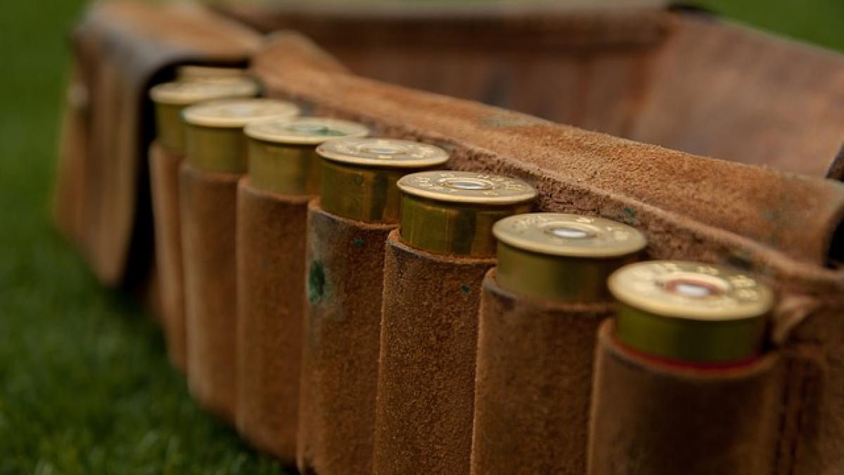 vanator-arma-amenda_00572600