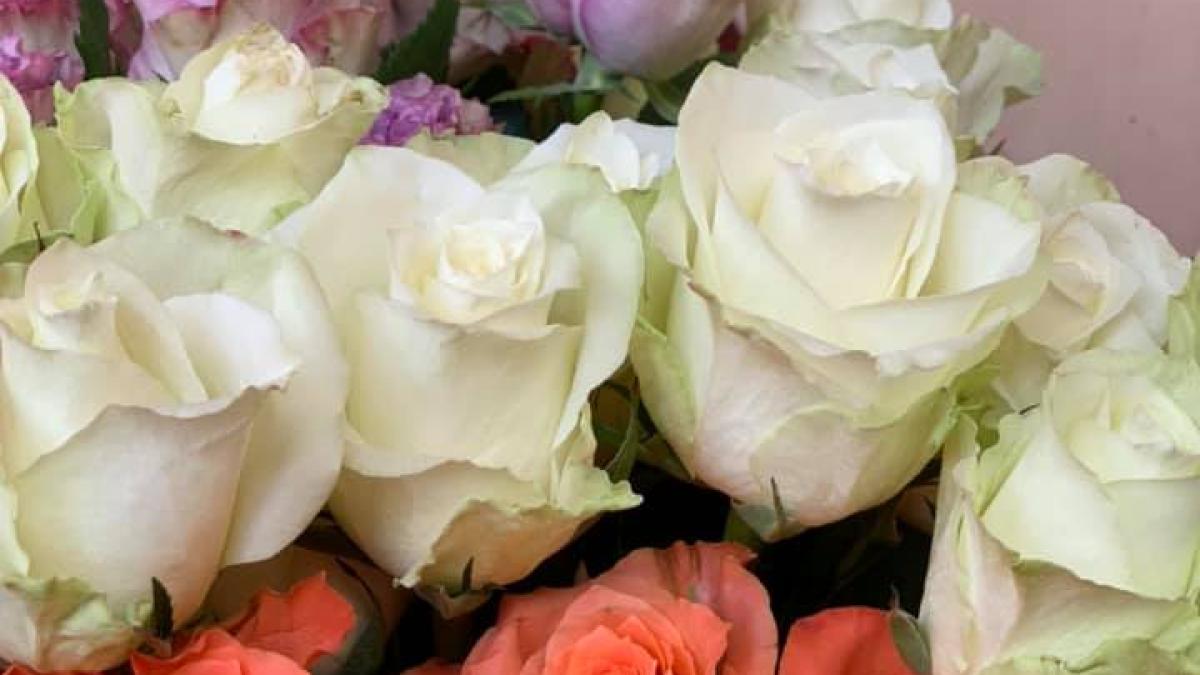 nunta-2021-trandafiri-criogenati-dora-bloom_45117400