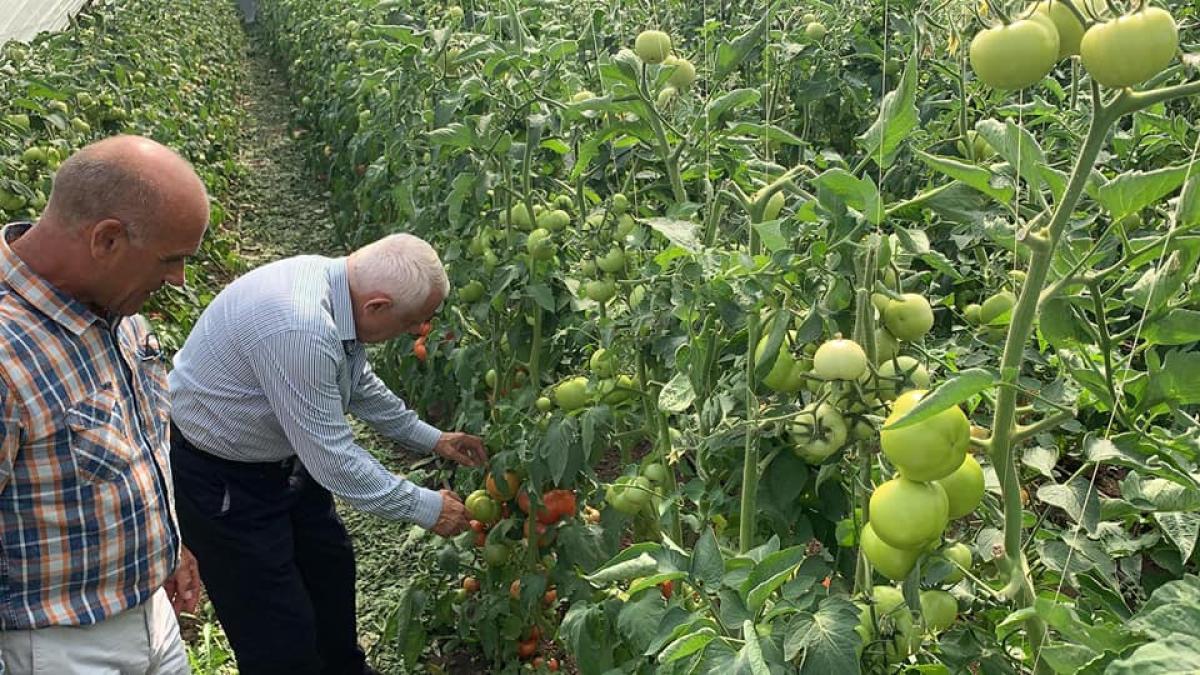 petre-daea-agricultura-consumatori-fermieri_70907700