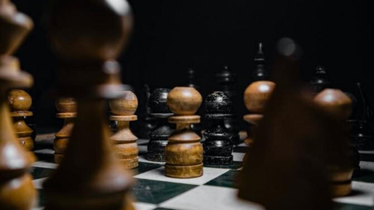 mihai_dragan_avocat_tudorache_alegeri_sector1_foto_pexels_28627400