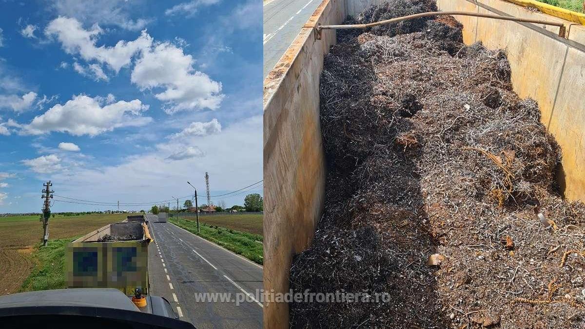 deseuri_vama_veche-2_42293600