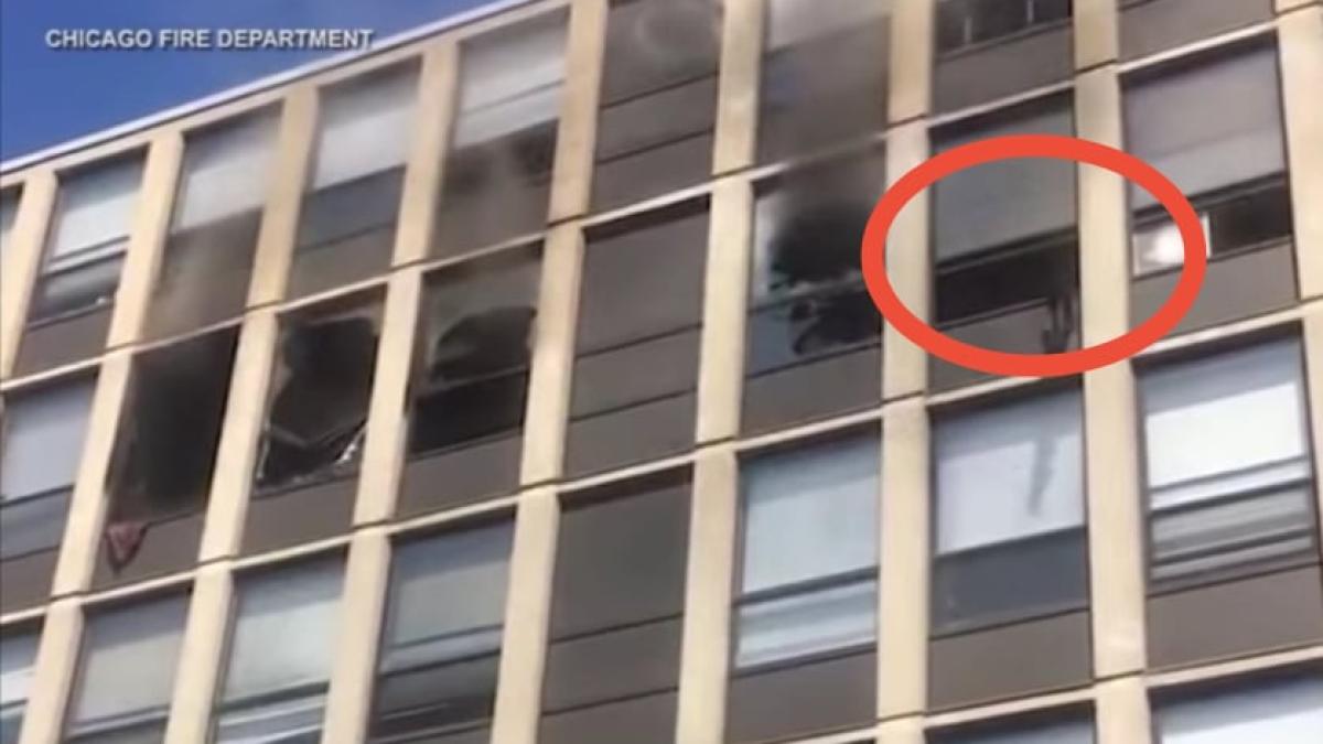 pisica-etaj-incendiu_86760200