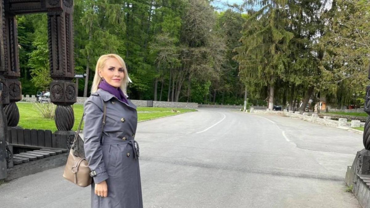 gabriela_firea_consumator_vulnerabil_romania_lege_fb_19561800