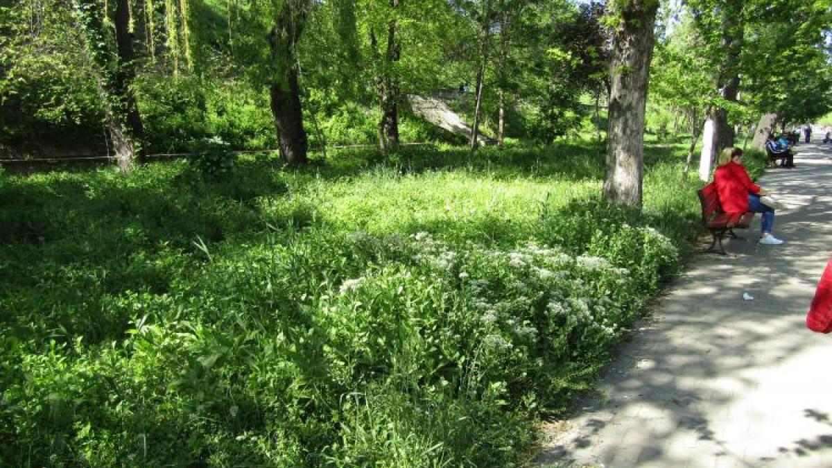 balarii_faleza_braila_obiectiv_br_98227700