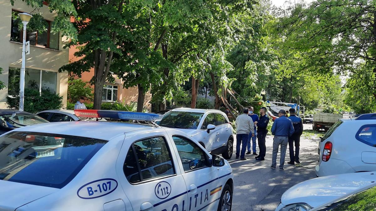 copaci-cazuti-vreme-rea8_08617800