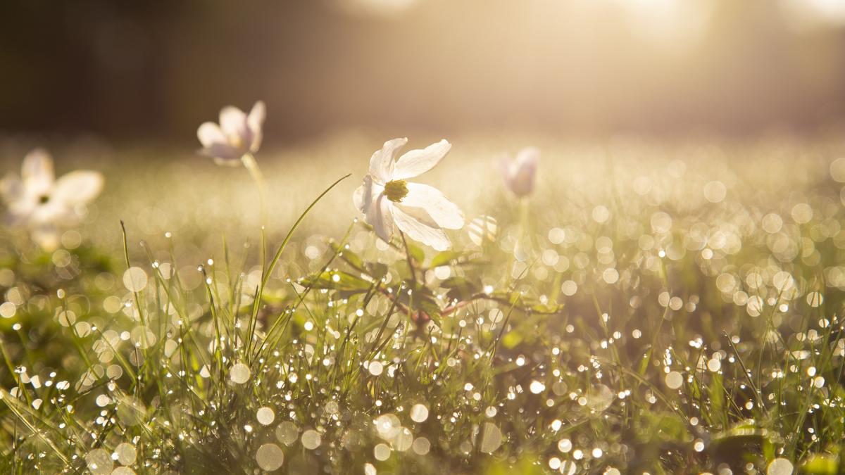 calendar-crestin-ortodox--sarbatoare-19-mai-2021_03123300