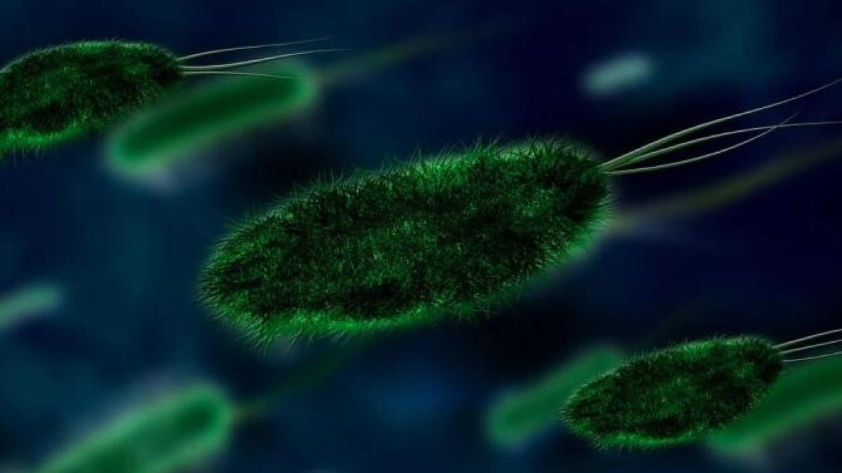 ciuperca-neagraprc-ccprc-86--fatalaprc-ccprc-86-pacientprc-ccprc-a6ilor-cu-covid--adrian-marinescu---existaprc-ccprc-86-peste-tot_70108000