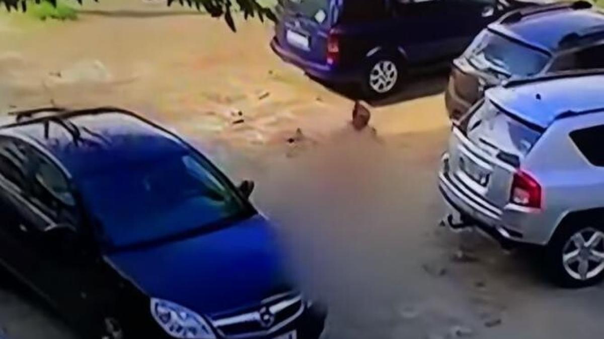 atac-mirela-vaida-acces-direct_74576400