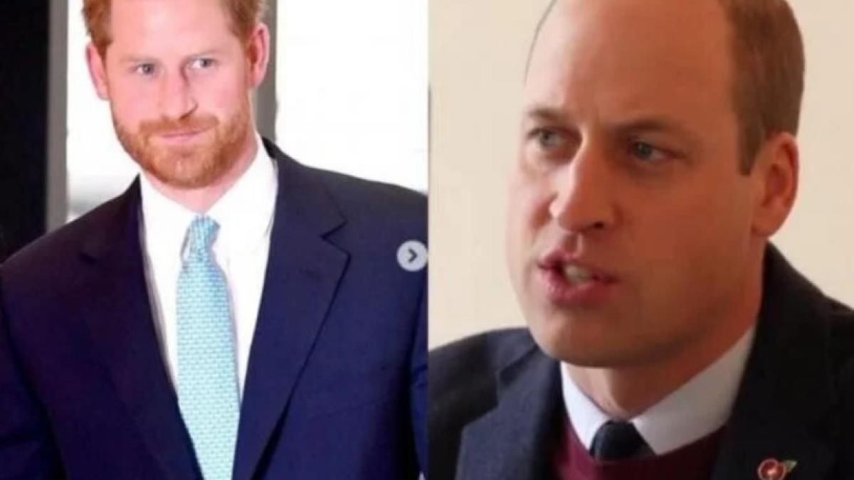 printesa-diana--mostenire-impresionanta-pentru-william-si-harry--isi-scrisese-testamentul-cu-patru-ani-inainte-sa-moara_86707700