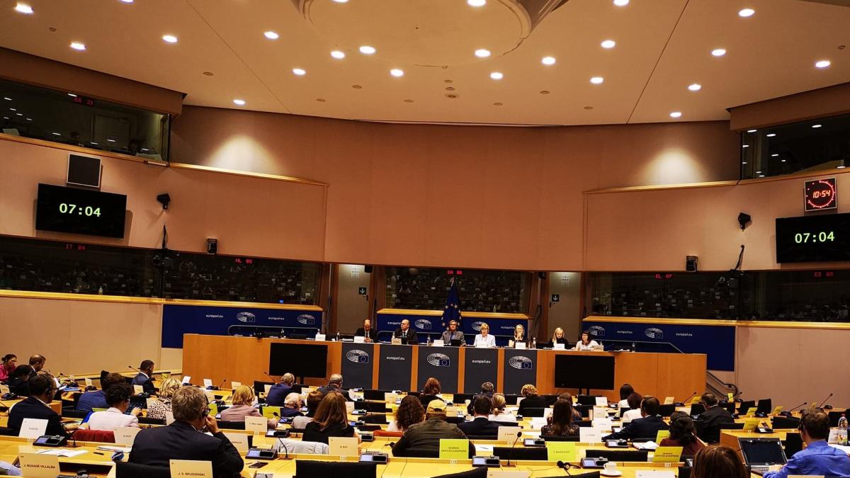 mariud-tudor-europarlamentar-discurs-romi_11234800