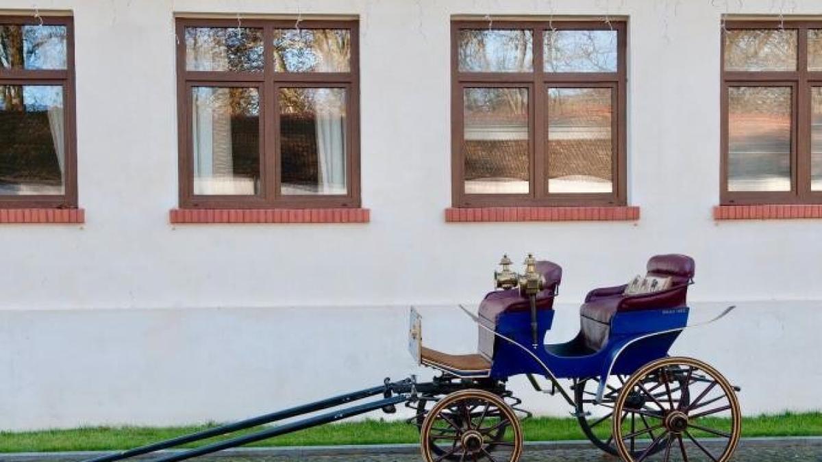 muzeul-automobilului-trasura-2015_50635800