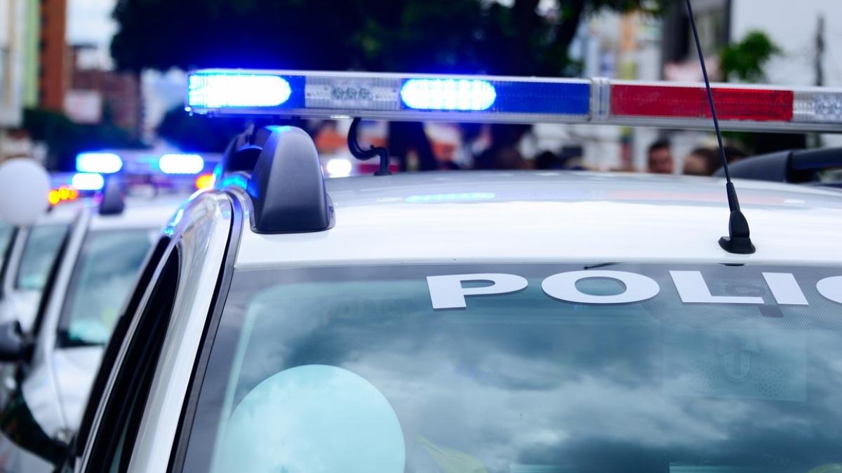 perchezitii_alba_cluj_67513900