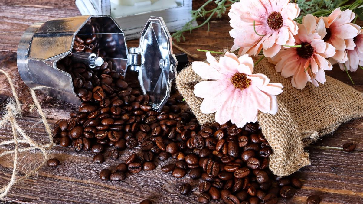 de-ce-sa-uzi-florile-cu-cafea--truc-pentru-gradinari-si-iubitorii-de-plante_45502300