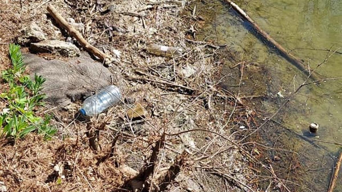 mizerie-herastrau-radu-tudor_44974300