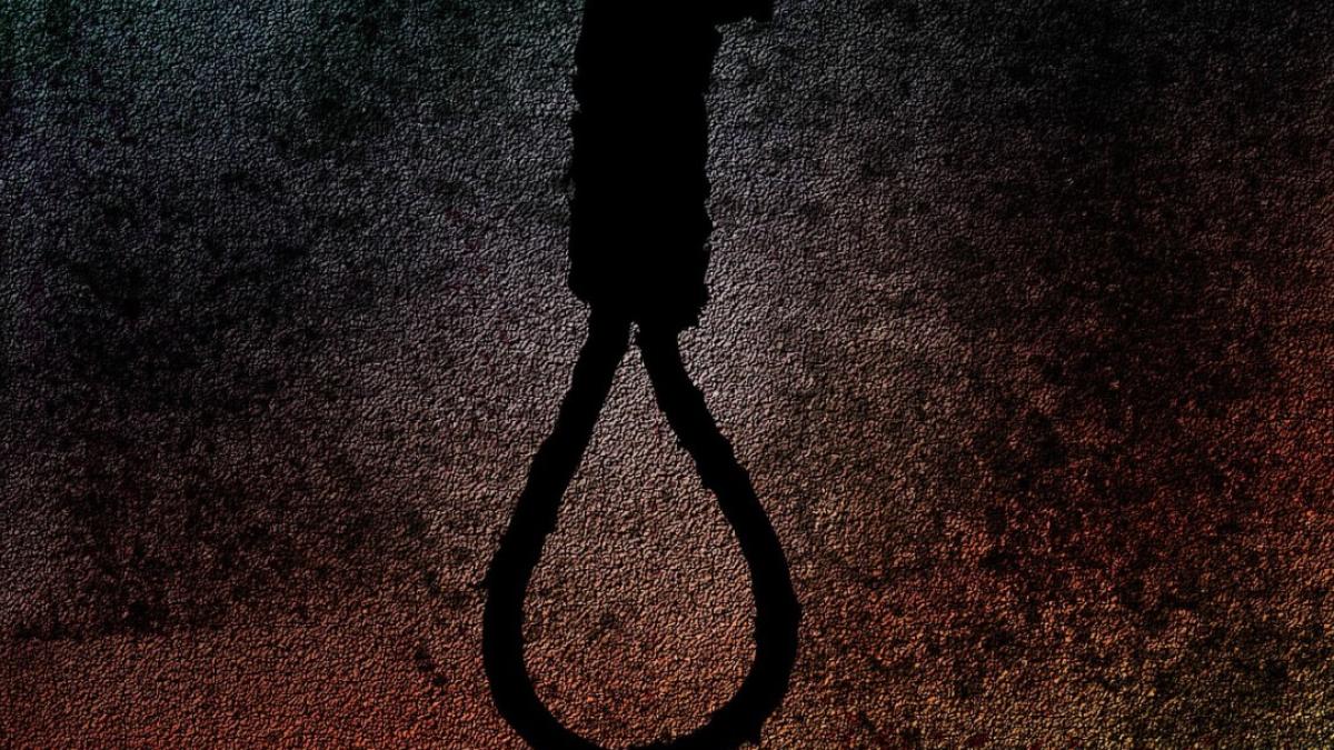 streang_ilustrativ_pxb_amazon_13779700