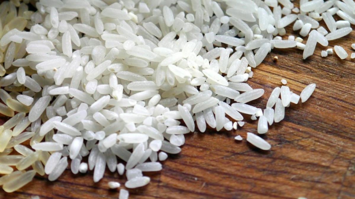 orez_international_pxb_ilustrativ_91631200