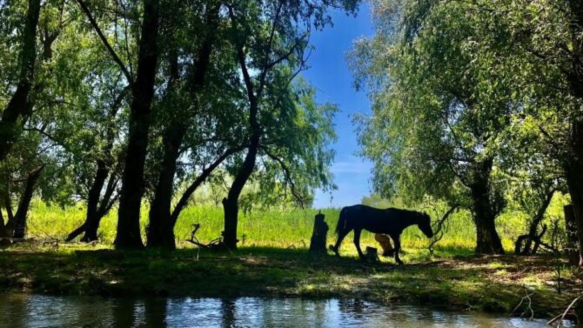 delta-dunarii_72366200