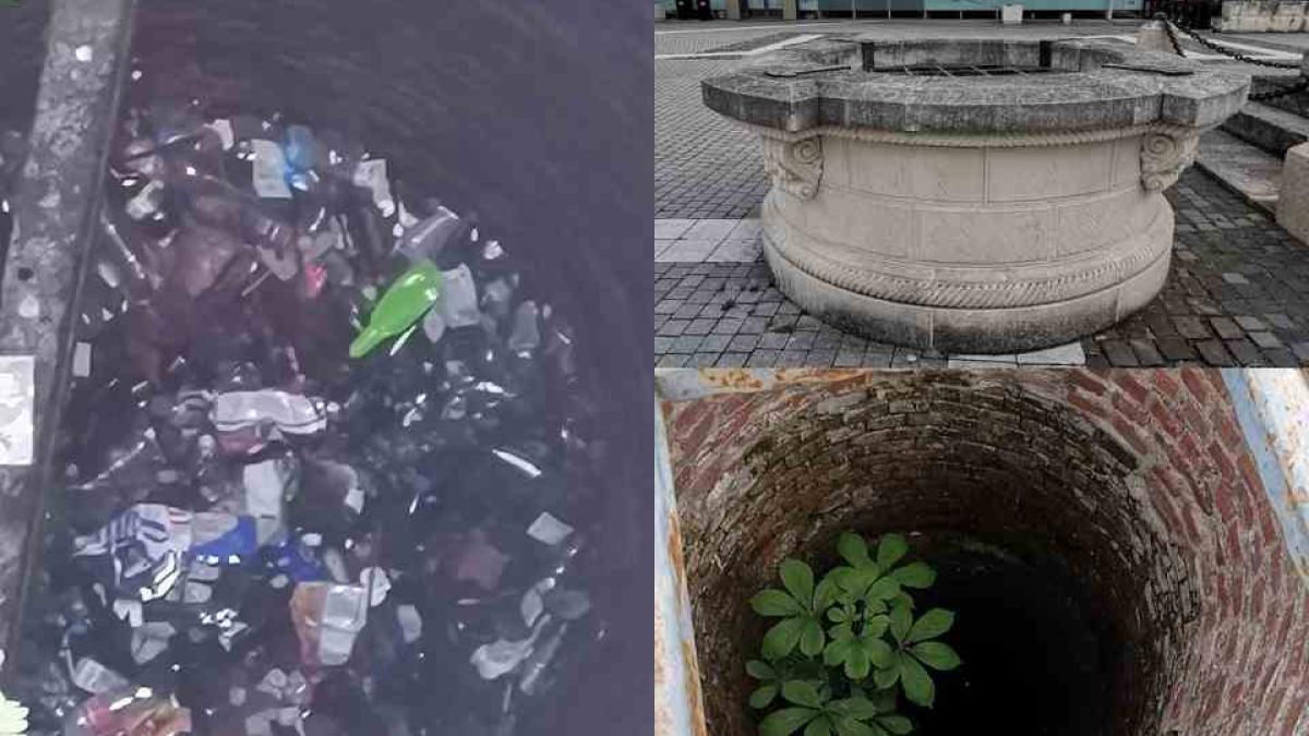 fantana-alba-carolina-gunoaie_30975100