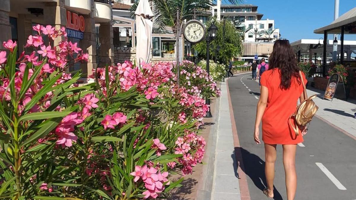 romanii-pot-intra-liber-in-bulgaria--fara-un-document-legat-de-covid-19_91729900