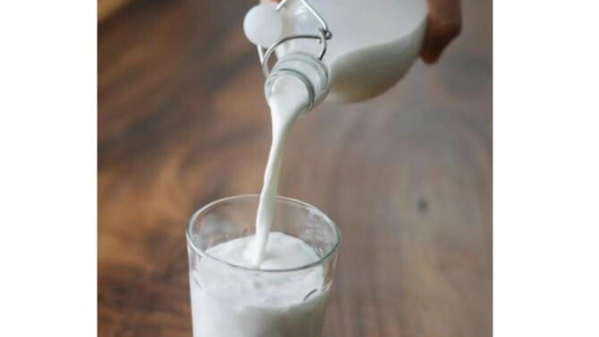 lapte_studiu_foto_pexels_81483900