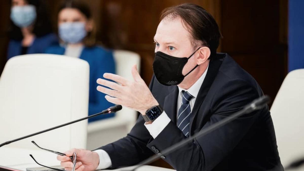 florin-citu-actor_53336100