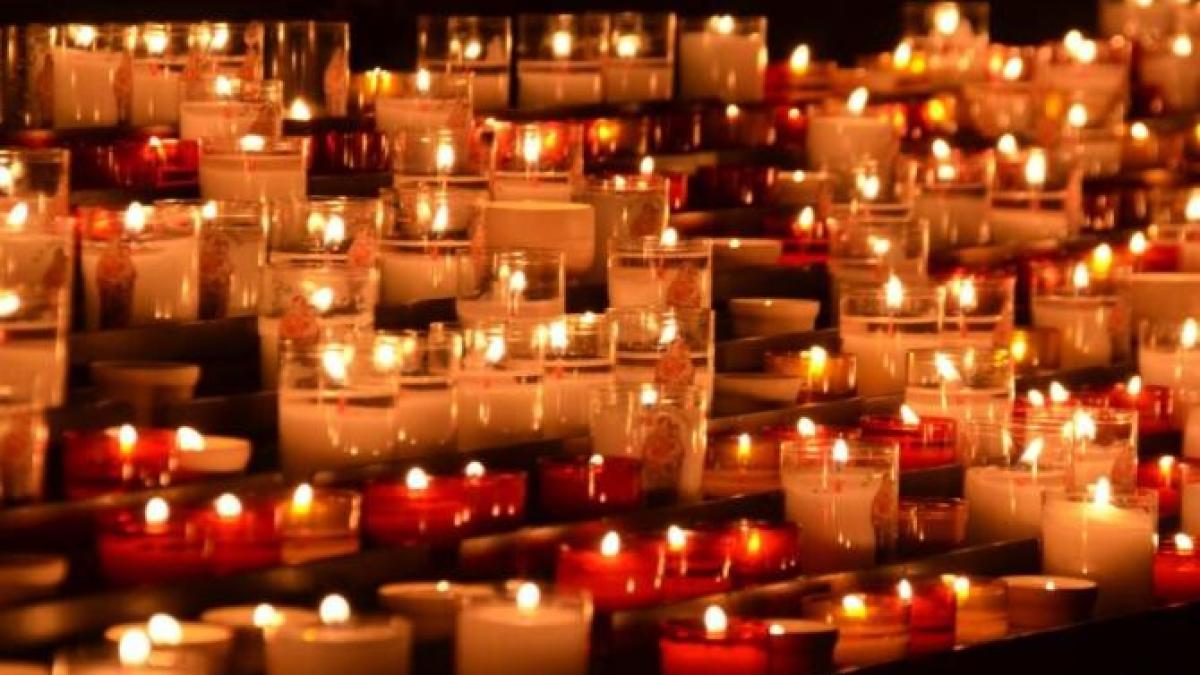 joe_lara_tarzan_deces_accident_avion_foto_pexels_81054900