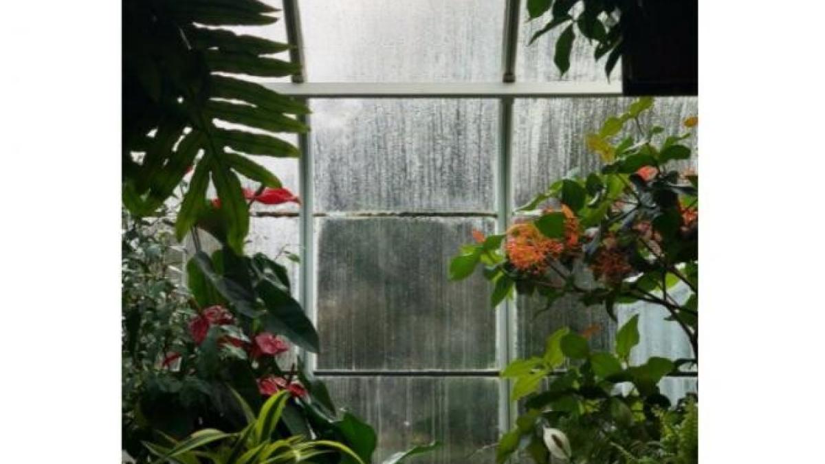 vreme_bucuresti_foto_pexels_26281700