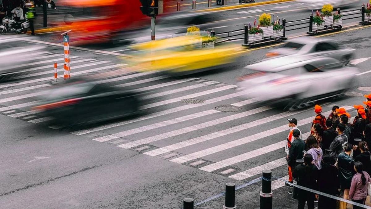 china_gripa_aviara_pxb_45671200