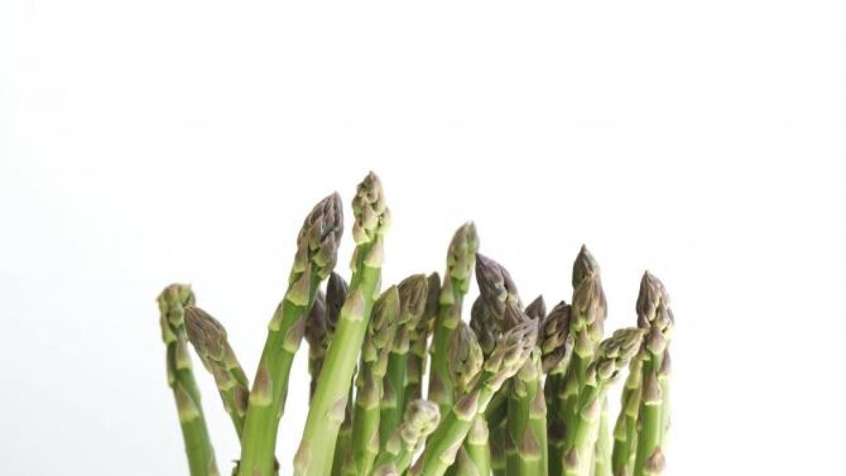 reteta-sparanghel-lege-belgiana_44804200