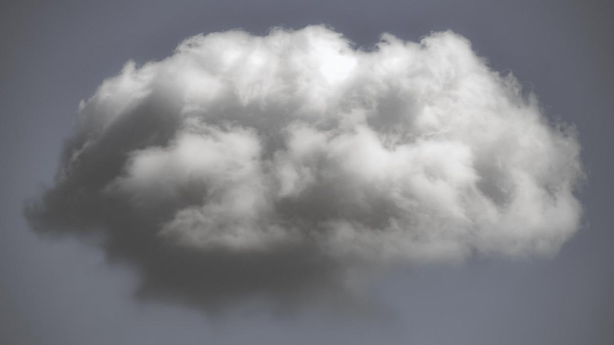 nor-toxic-peste-bucuresti_27998200