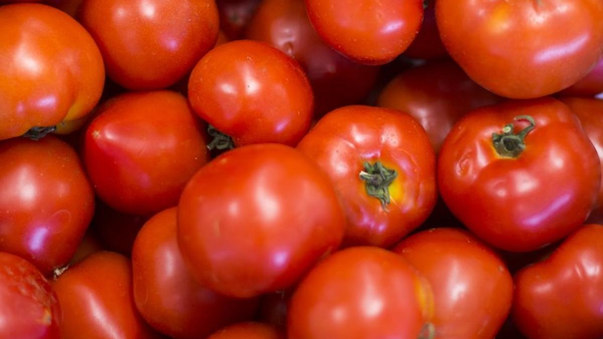 rosie-gust-aspect_38208100