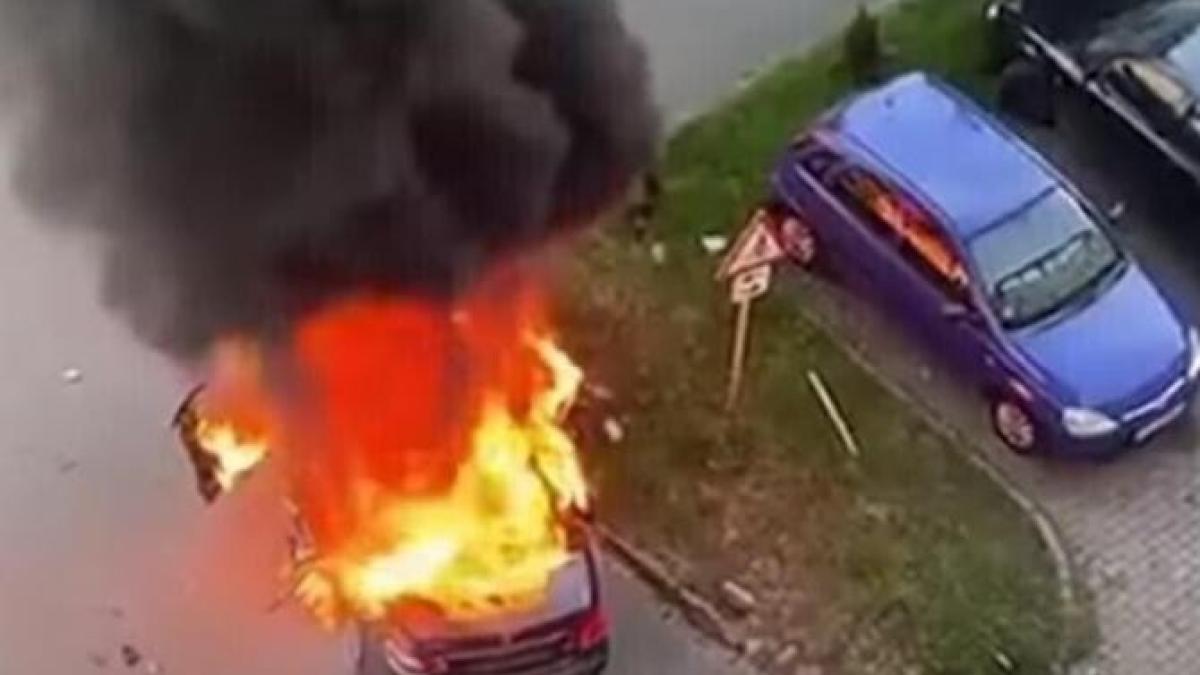 sef-nou-la-ipj-arad_99615200