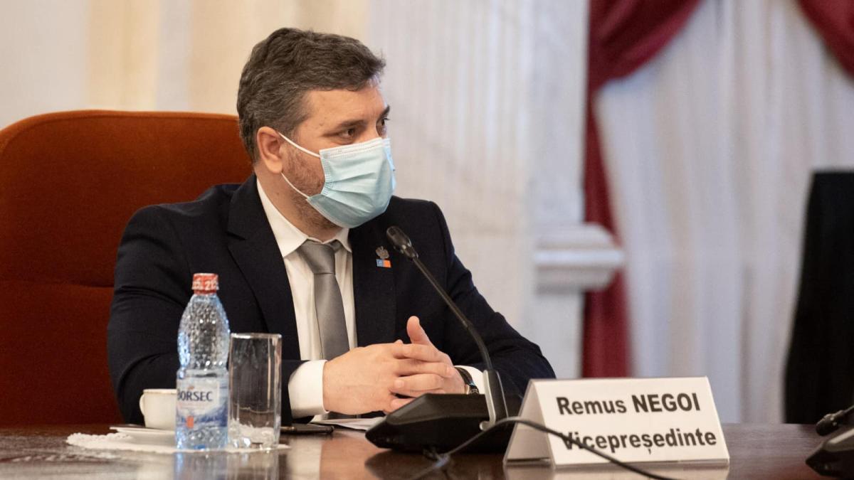 remus_negoi_usr_constanta_venituri_avere_declaratie_fb_85917600